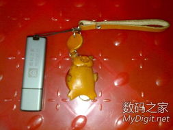 數(shù)字產(chǎn)品技術(shù)交流 構(gòu)建開(kāi)發(fā)者生態(tài)的關(guān)鍵平臺(tái)